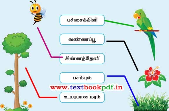 2nd Standard - Alaguthootam - padathai oriya solludan inaika