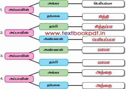 2nd Standard - Naanum Naangaluml - vuravumurai Kuri Alaipen