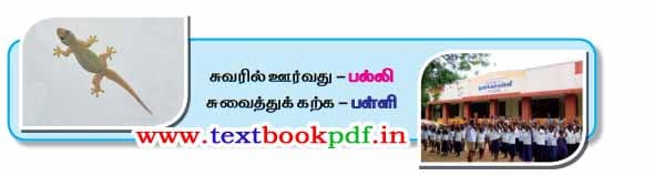 2nd Standard - Vittu Selaathay - Uriya olipuldan padithu palagu