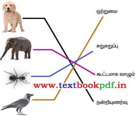 3rd Standard - Kakamum Nagamum - Entha Varathirku Yena Panbu