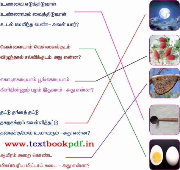 3rd Standard - Natpe Uyarvu - Puthiruku Poruthamana Padathai Nirappuga