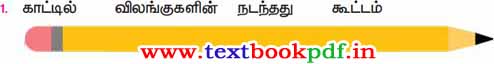 3rd Standard - Thanithiramai - Murai Mariulla sorkalai Muraipaduthi Thodar Uruvakuga