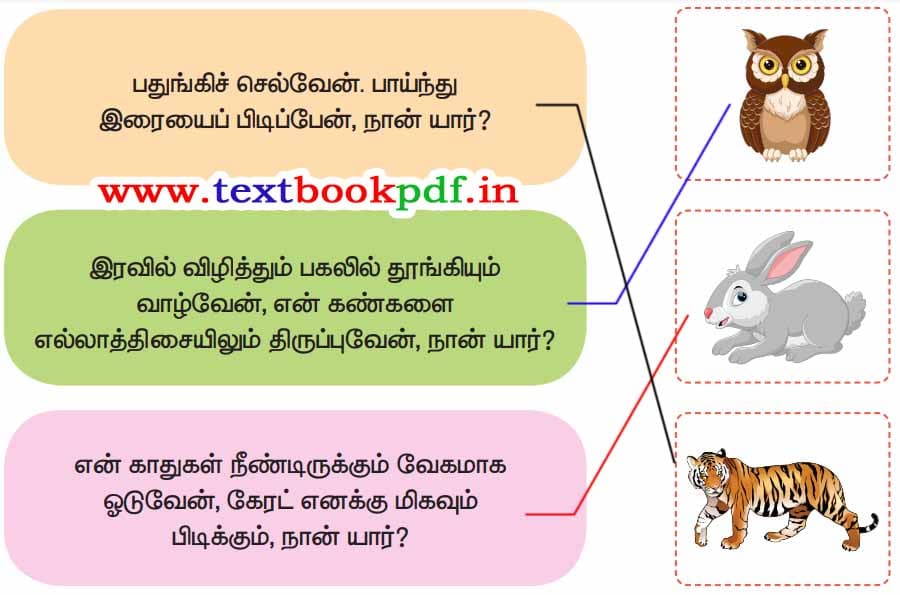 3rd Standard - Thanithiramai - Puthiruku Poruthaman Padthai poruthuga