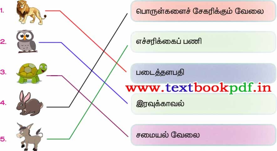 3rd Standard - Thanithiramai - Puthiruku Poruthamana Padathai poruthuga 