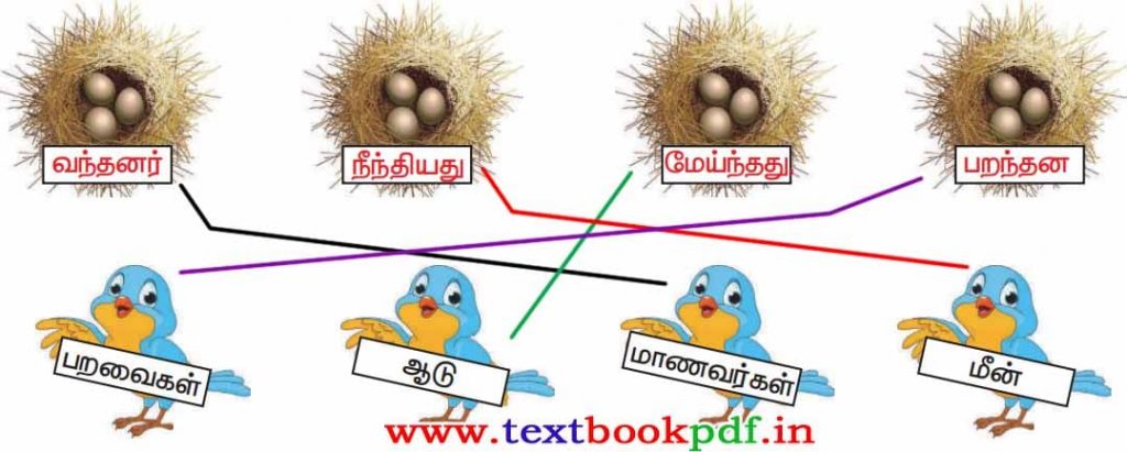 3rd Standard - Thookanankuruviyum Ottagasivingiyum - Kurviku yertcha Kutai Therinthuedupoma