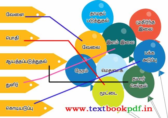 4th Standard - Vidiyum Velai - Sariyana palungali eduthu eluthuga