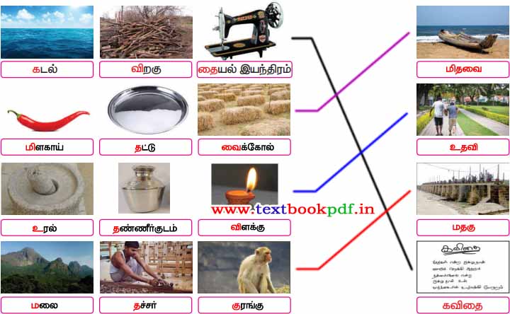 4th standard - anantham vilayadum boomiyadi - Kuttathai kurikum padam - Moyyodu vilaiyadu