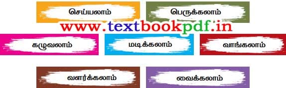 Class 2nd Book Back Answer - virumbi vellai seiyalam - Olithu Palagu