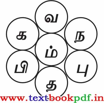 6th Standard - Mozhi Muthal. Iruthi Eluthukal - Sorkalai Uruvakku