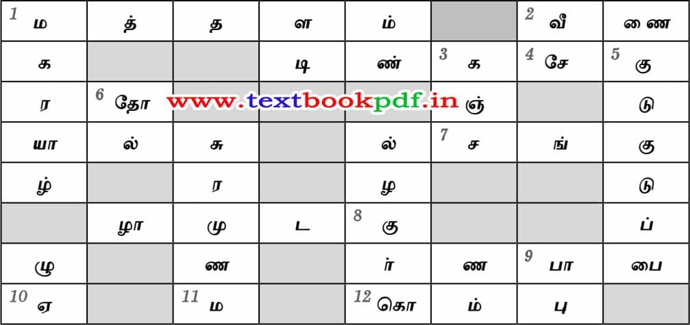 8th Standard - thogai nilai thoga nilai thodargal - Kukeluthputhir