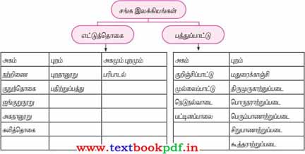 12th Standard - Padimam